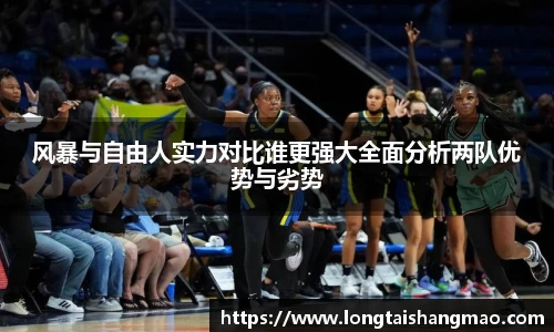 风暴与自由人实力对比谁更强大全面分析两队优势与劣势